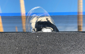 Glass Damage - Scratches – Shells – Weld Splatter etc.